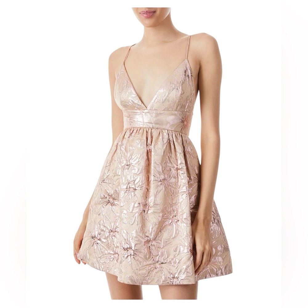 NWT Alice + Olivia Foley Brocade Party Dress in Rose Gold Size 2